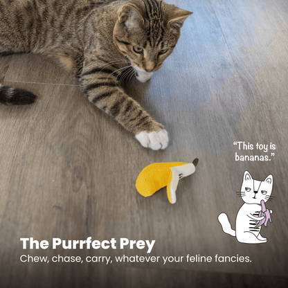 CATSTAGES CAT DENTAL BANANA CATNIP CAT TOY
