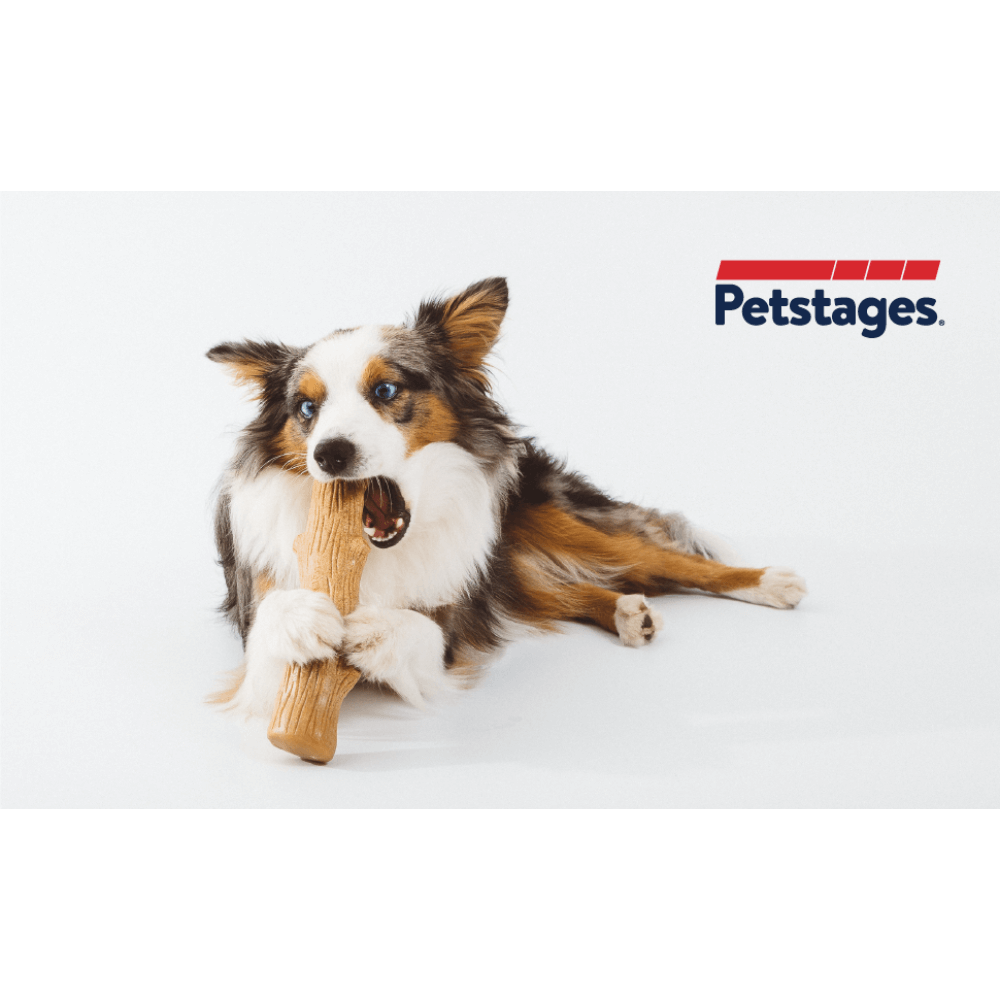 PETSTAGES DOGWOOD STICK Medium