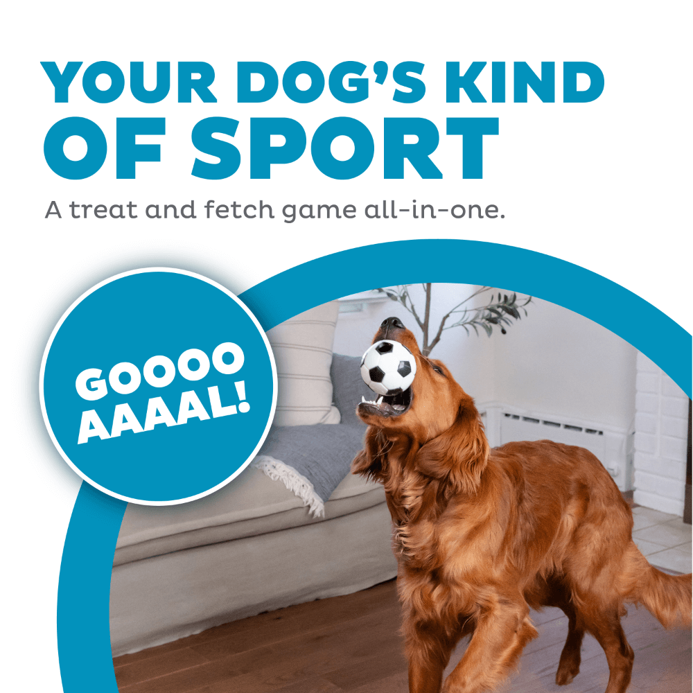 Planet Dog Soccer Ball Dog Treat Dispensing Toy White