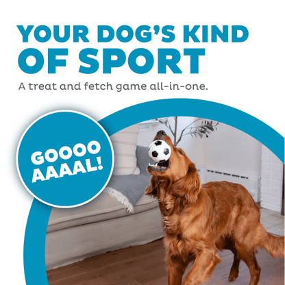 Planet Dog Soccer Ball Dog Treat Dispensing Toy White