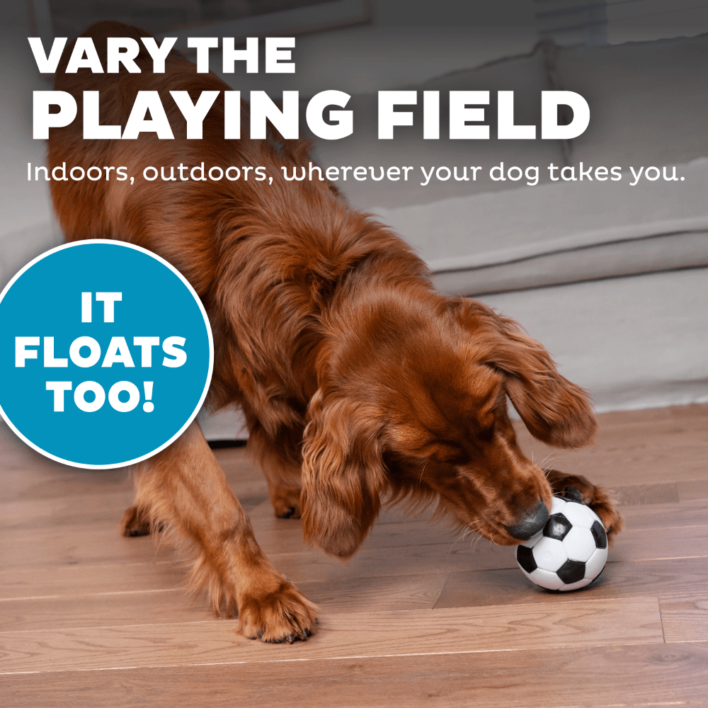 Planet Dog Soccer Ball Dog Treat Dispensing Toy White