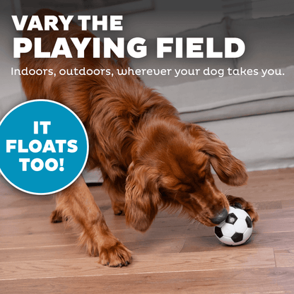 Planet Dog Soccer Ball Dog Treat Dispensing Toy White