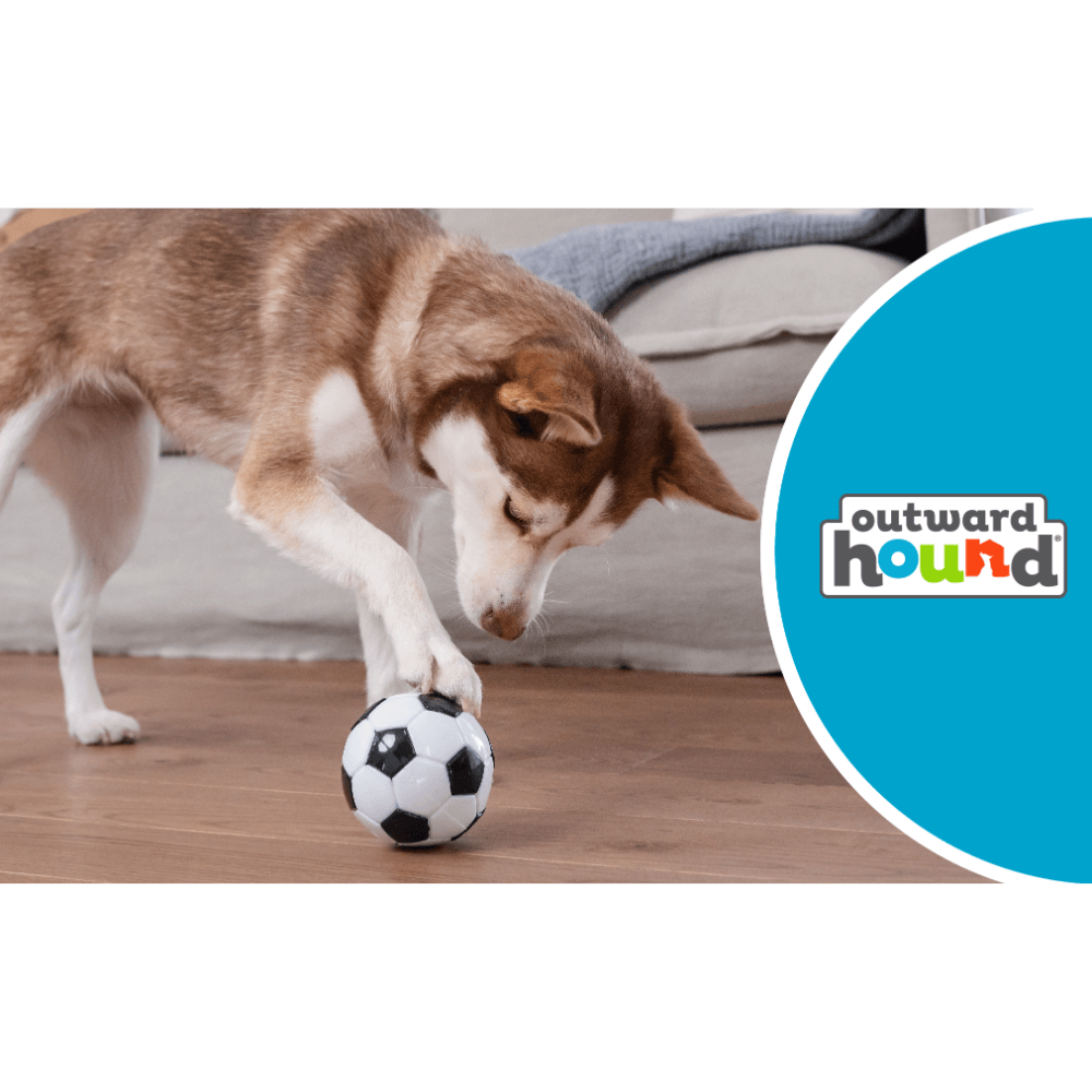Planet Dog Soccer Ball Dog Treat Dispensing Toy White
