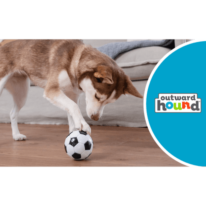 Planet Dog Soccer Ball Dog Treat Dispensing Toy White