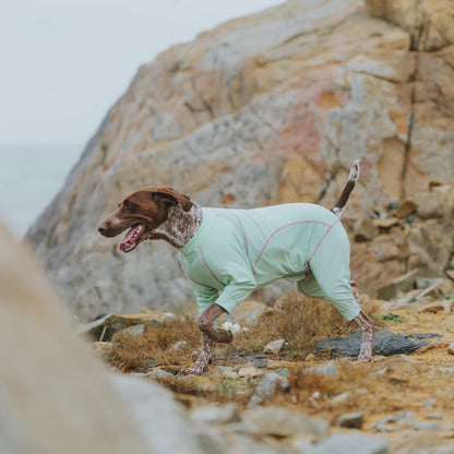 BlackDoggy All-Round Cooling Jacket 25