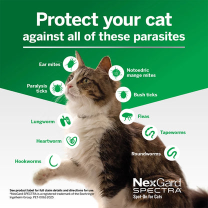 NexGard SPECTRA Flea, Tick & Worming Spot On for Cats 2.5 - 7.5kg