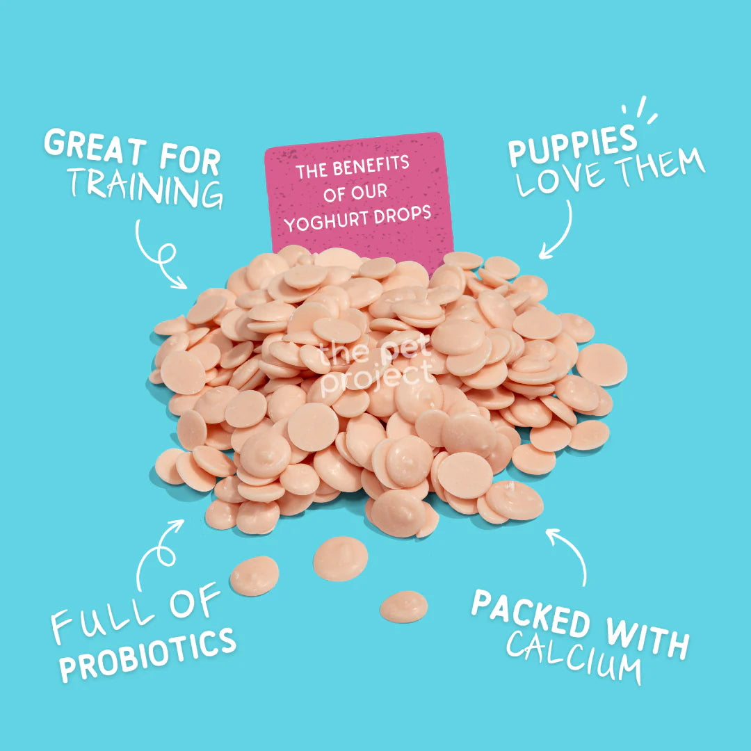 THE PET PROJECT YOGHURT DROPS - STRAWBERRY 250G
