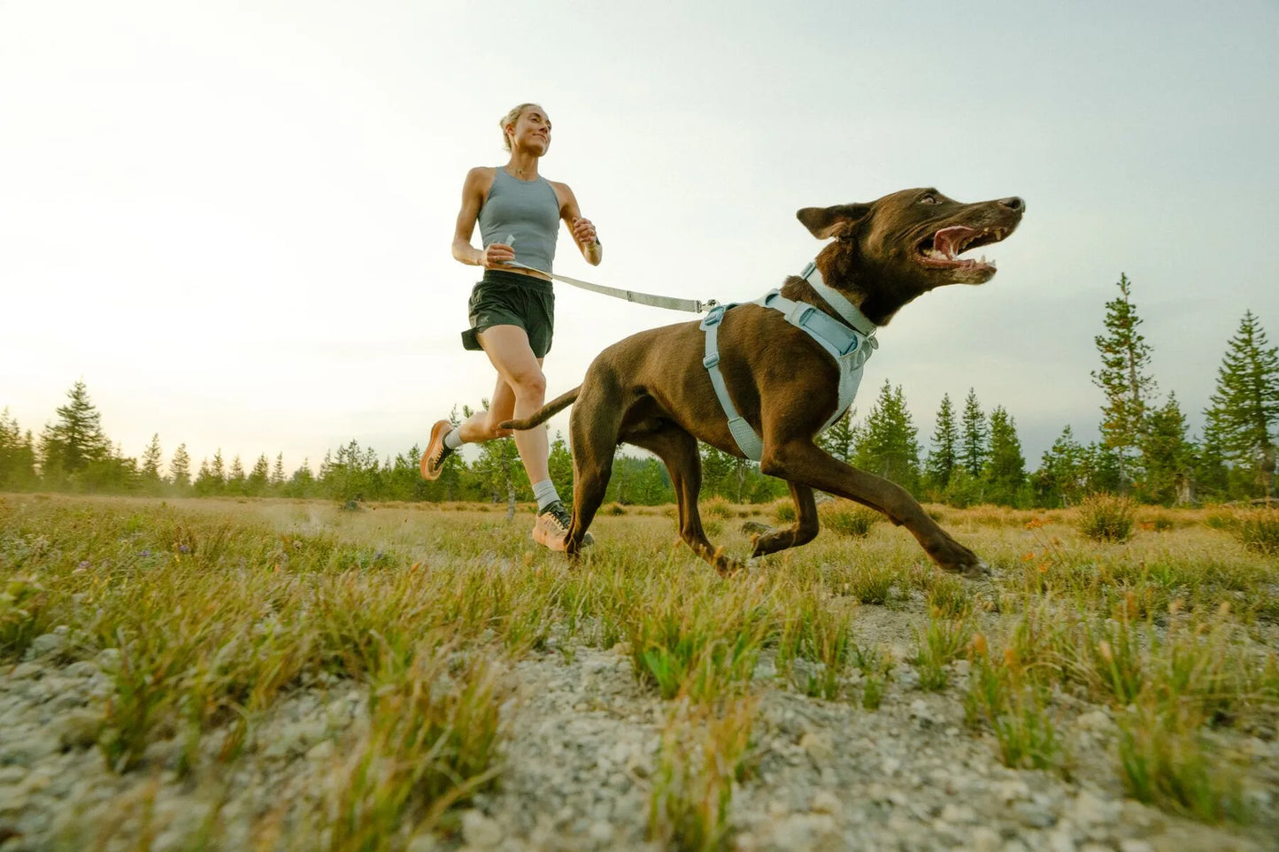 (2026 NEW) RUFFWEAR FRONT RANGE® FLEX HARNESS - Polar Blue