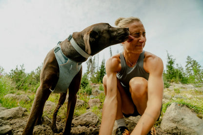 (2026 NEW) RUFFWEAR FRONT RANGE® FLEX HARNESS - Polar Blue