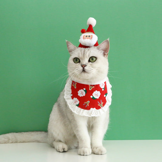 Pet Christmas Hat & Bandana Bib Set