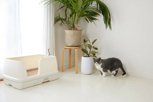 EZI-LOCKODOUR DUAL LAYER CAT LITTER SYSTEM XL