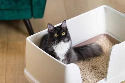 EZI-LOCKODOUR DUAL LAYER CAT LITTER SYSTEM XL