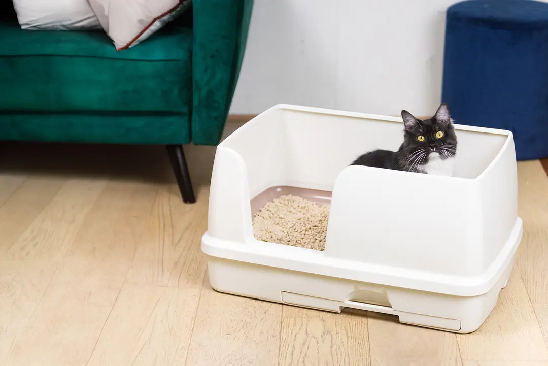EZI-LOCKODOUR DUAL LAYER CAT LITTER SYSTEM XL